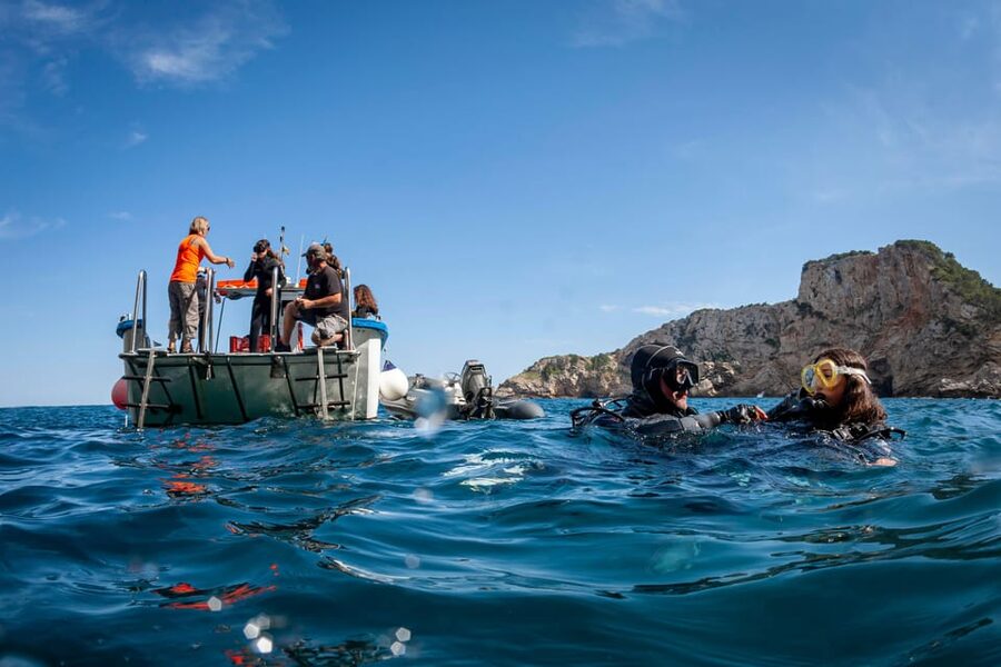 L'Estartit: Dive and Snorkeling in Montgrí Natural Park - Starting at Medaqua in LEstartit