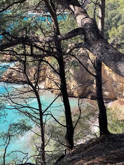 La Ciotat: Boat Tour to Cove of Var / Embiez and Snorkeling - Port d’Alon, One of the Day’s Main Stops