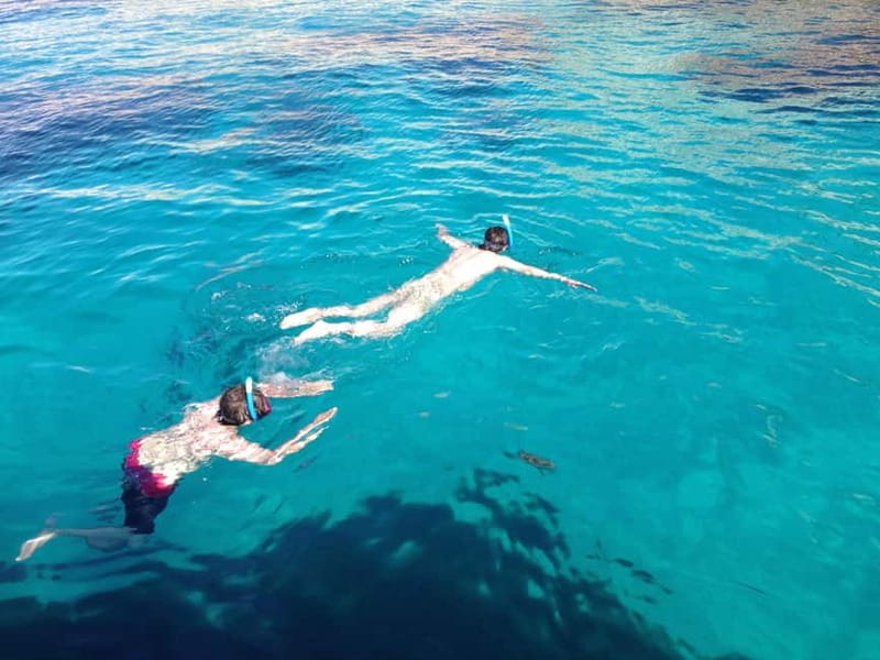 La Ciotat: Calanques Morning Boat Tour with Snorkeling - Is $117 a fair price?