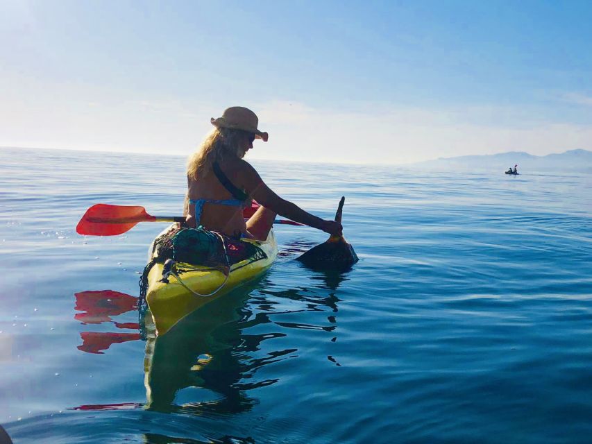 La Herradura: Cerro Gordo Natural Park Kayak & Snorkel Tour - The snorkeling stop and what you may see