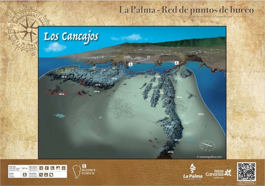 La Palma : Snorkeling Tour in Los Cancajos - A short Atlantic outing from Los Cancajos