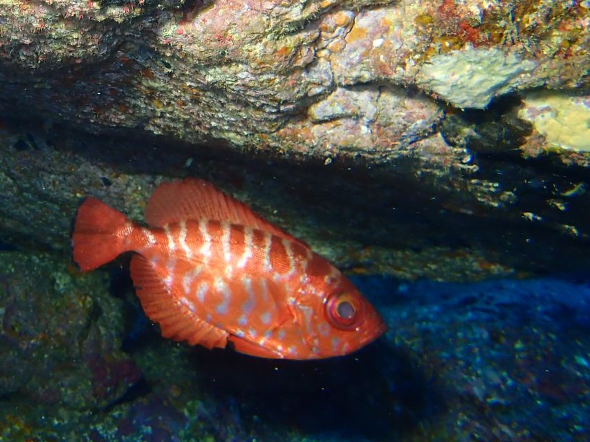 La Palma : Snorkeling Tour in Los Cancajos - Warming up at the center