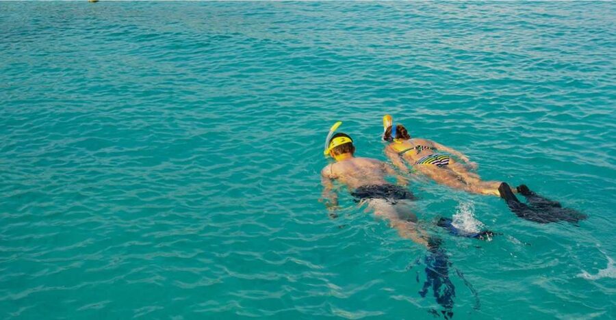 La Palma : Snorkeling Tour in Los Cancajos - The briefing and equipment fitting