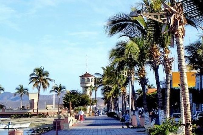 La Paz Whale Shark Snorkeling Tour and Lunch From Los Cabos - Is $259 a fair price?