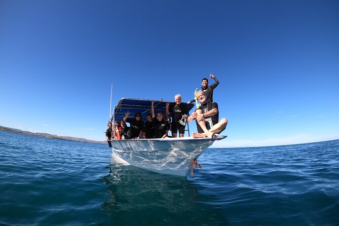 La Paz Whale Shark Snorkeling Tour and Lunch From Los Cabos - Small details that improve the day