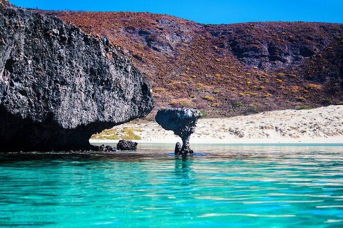 La Paz World Class Snorkeling in Balandras Hidden Beaches - Snorkeling, fish, and the jellyfish question