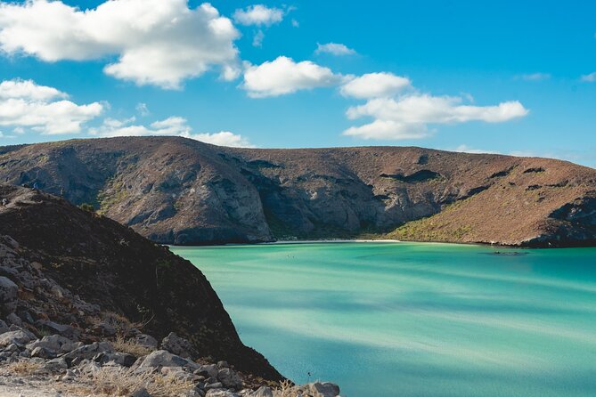 La Paz World Class Snorkeling in Balandras Hidden Beaches - Breakfast, lunch, and the open bar