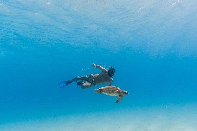La Paz World Class Snorkeling in Balandras Hidden Beaches - How much value do you get for $219?