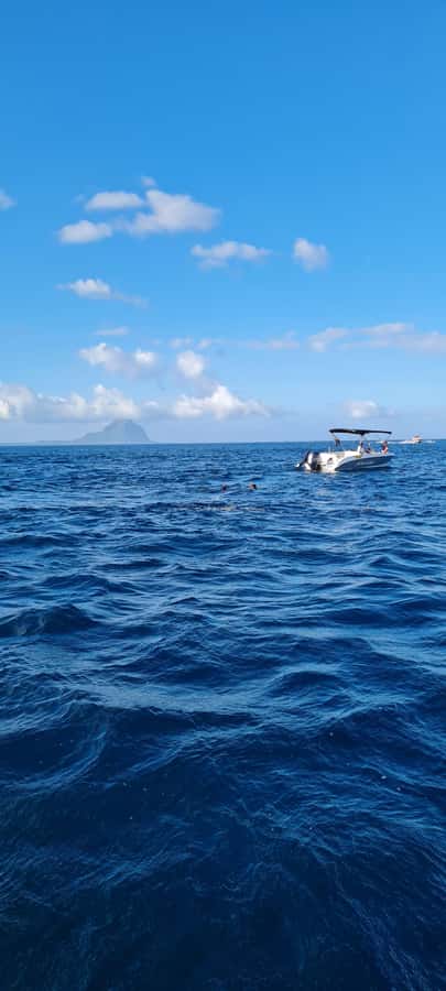 La Preneuse: Dolphin Swimming and Snorkeling Speedboat Trip - Who will enjoy this trip most