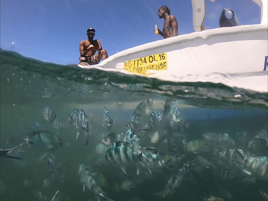 La Preneuse: Dolphin Watching and Snorkeling Speedboat Tour - Starting beside La Preneuse’s Martello Tower