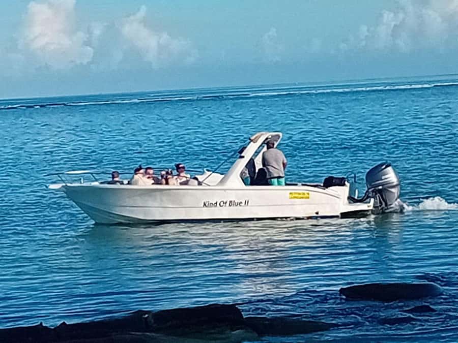 La Preneuse: Dolphin Watching and Snorkeling Speedboat Tour - Fifteen minutes of lagoon snorkeling
