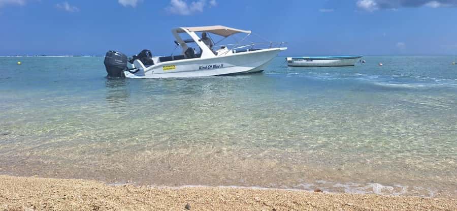 La Preneuse: Dolphin Watching and Snorkeling Speedboat Tour - The crew and the feel of the boat