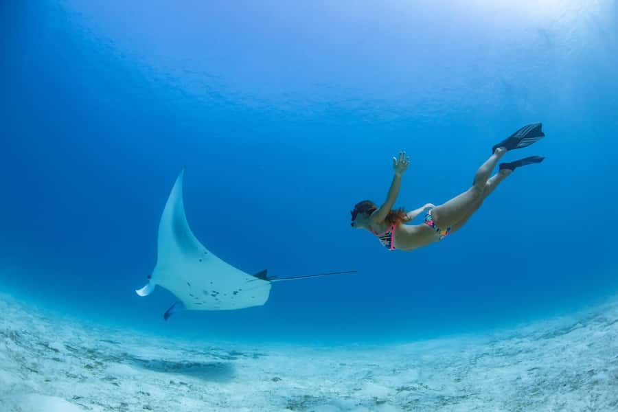 Labuan Bajo: Swim and Snorkel Komodo Island Trip with Lunch - Speedboat comfort can shape the whole experience