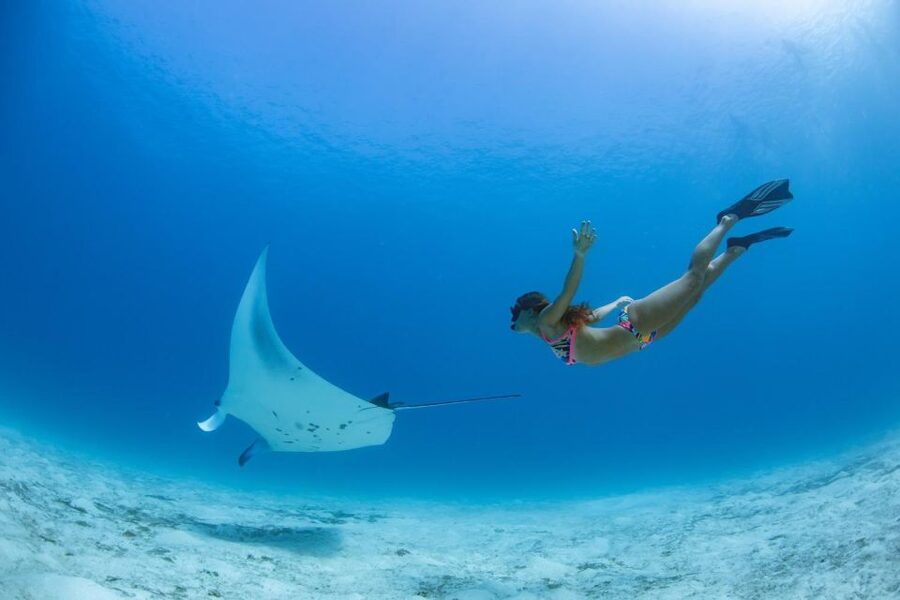 Labuan Bajo: Swim and Snorkel Komodo Island Trip with Lunch - Who will enjoy this route most