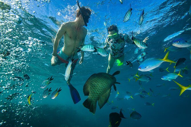 Lady Enid Sailing to Hook Island Cultural Site & Snorkelling - The Whitehaven warning you should not miss