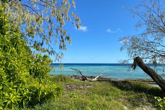 Lady Musgrave Day Trip from Bundaberg Including Snorkeling - The crew makes a practical difference