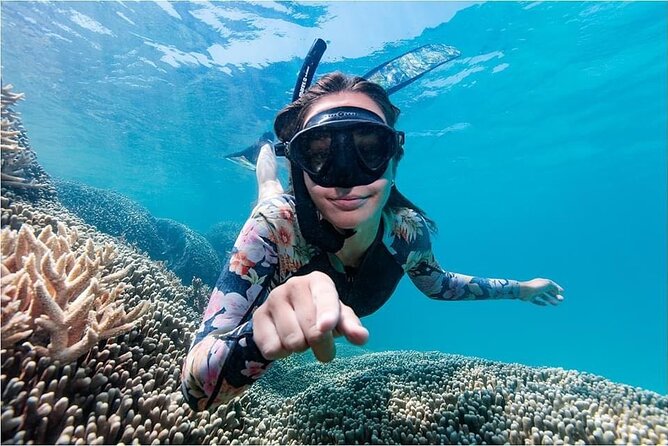 Lady Musgrave Day Trip from Bundaberg Including Snorkeling - How the day suits different people