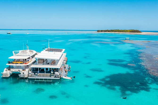 Lady Musgrave Day Trip from Bundaberg Including Snorkeling - The glass-bottom boat and fish viewing