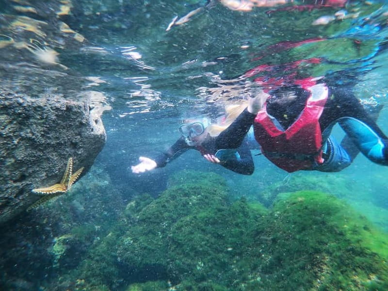 Lagos: Algarve Coasteering and Snorkeling Adventure - Timing, transport, and practical planning