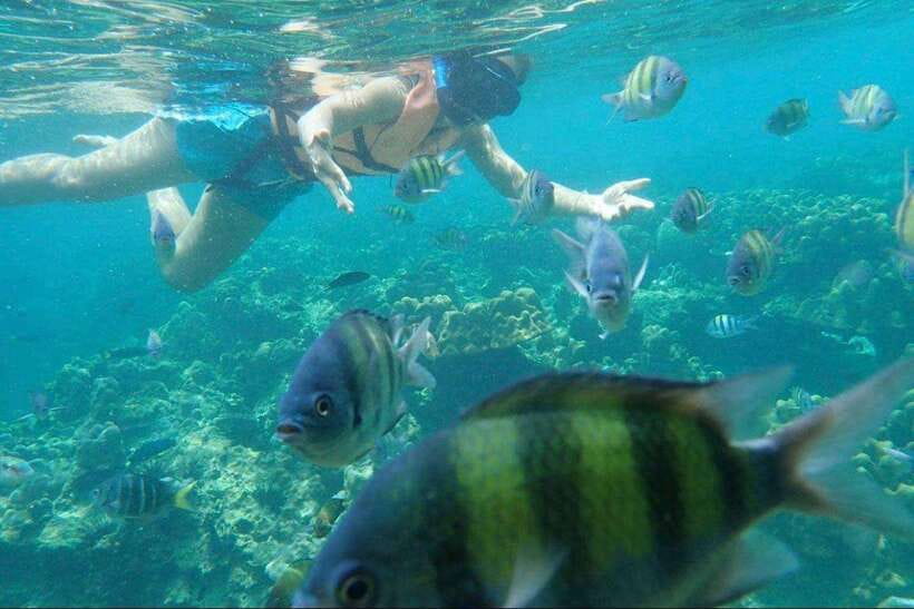Langkawi: Dangli Island Snorkel and Swim Speedboat Tour - Practical packing advice for a smoother outing
