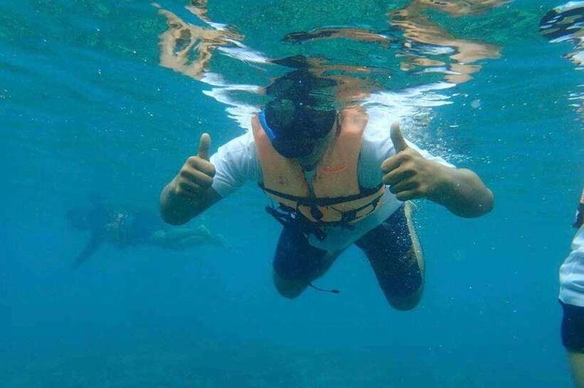Langkawi: Dangli Island Snorkel and Swim Speedboat Tour - Fish feeding, with a light touch