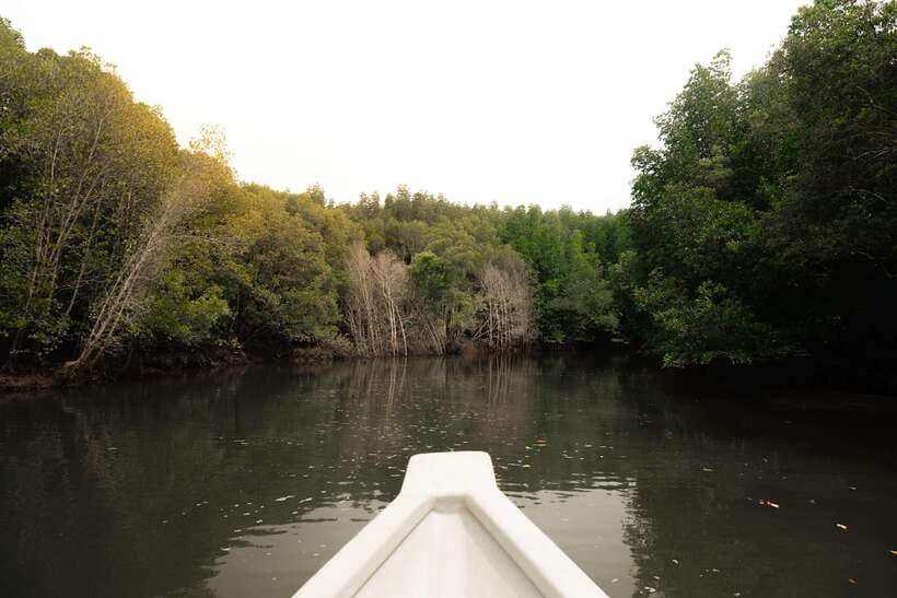 Langkawi Royal Mangrove Tour with Snorkeling Package - Kilim Geopark, Gorilla Mountain, and the Andaman Sea