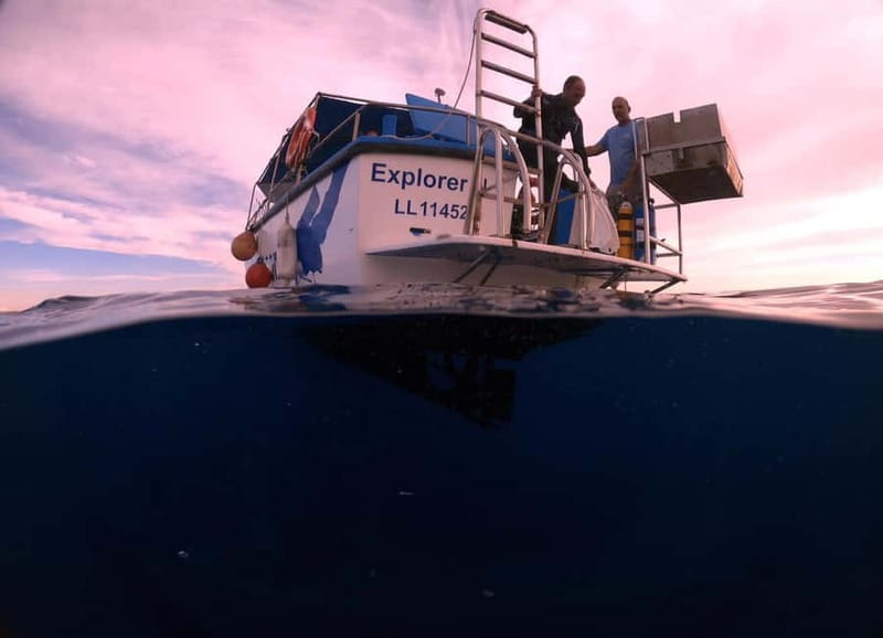Larnaca: Snorkelling Zenobia Wreck Plus Mini Cruise - Seeing the Zenobia from the surface