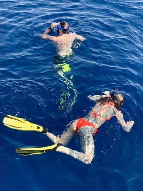 Larnaca: Snorkelling Zenobia Wreck Plus Mini Cruise - Fish, wreck details, and what you may actually see