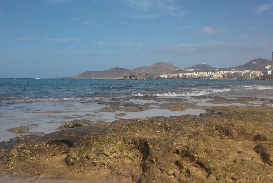 Las Palmas: Las Canteras Beach Snorkeling Trip - What makes Las Canteras snorkeling different