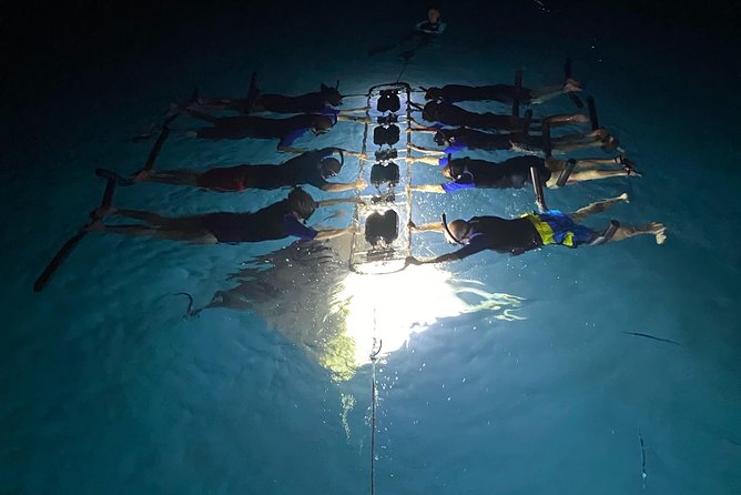 Late Night Manta Snorkel - Why Kona’s night manta snorkel is so unusual