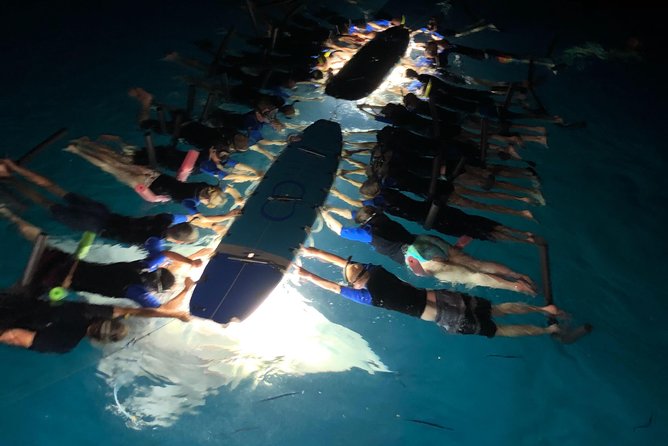 Late Night Manta Snorkel - From Kailua-Kona to Manta Ray Village