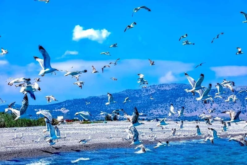 Lindos: Glass Bottom Boat Tour with Snorkeling - The guide, music, and mood onboard