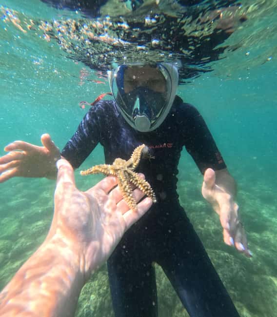 Lisbon: Arrábida Kayak & Wild Beach Snorkeling Pickup Option - What $64 really gets you