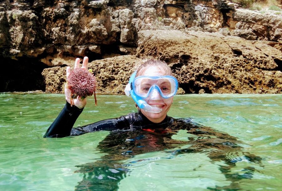 Lisbon: Arrábida Snorkeling Adventure - Key points at a glance