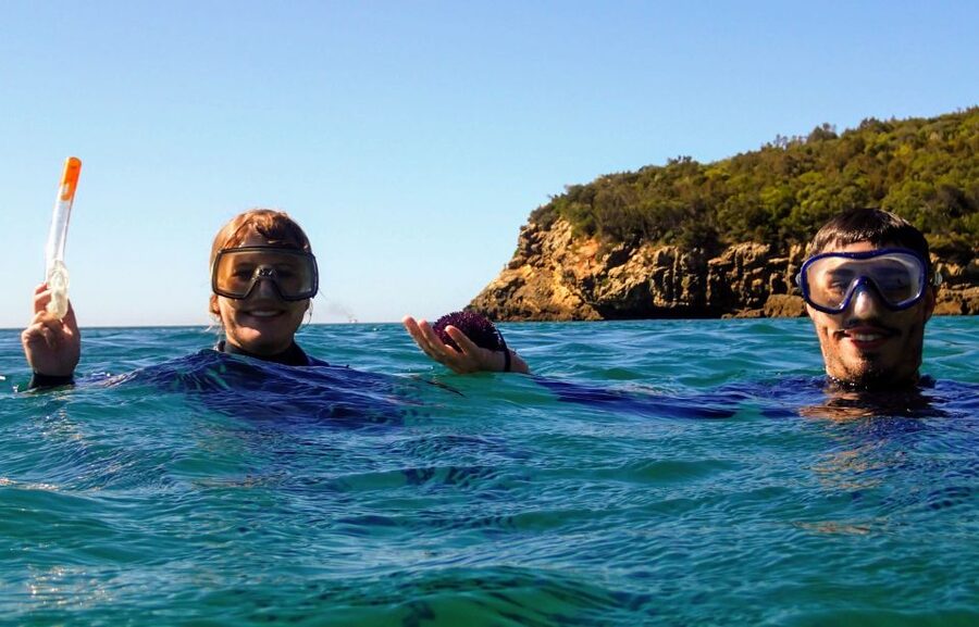 Lisbon: Arrábida Snorkeling Adventure - Should you book it?
