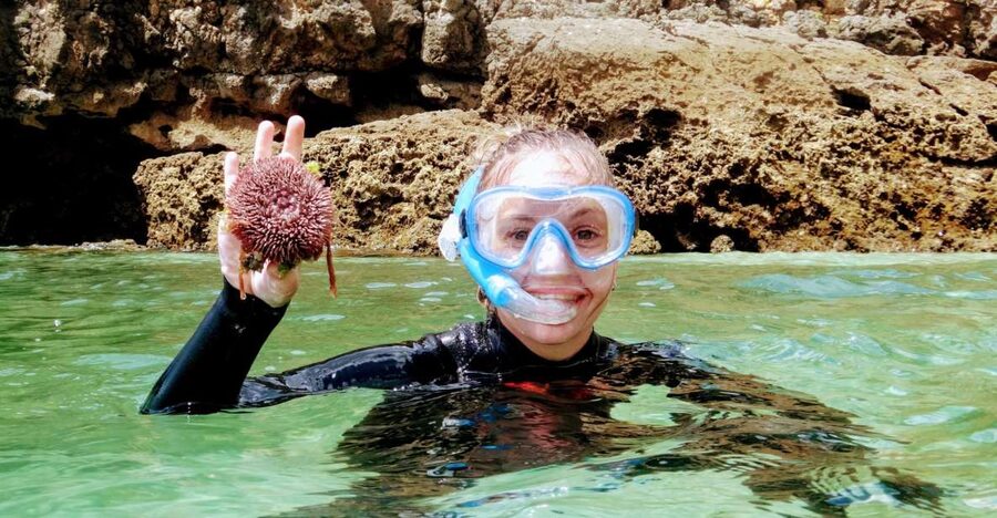Lisbon: Arrábida Snorkeling Adventure - Snorkeling among rocks, caves, and fish