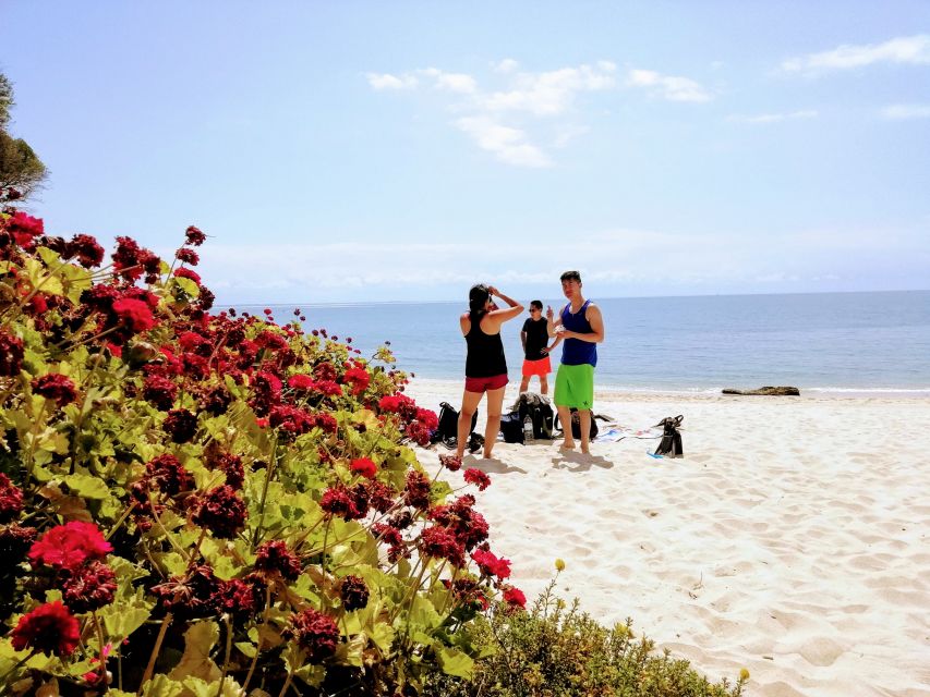 Lisbon: Arrábida Snorkeling Adventure - What the $94 price really covers
