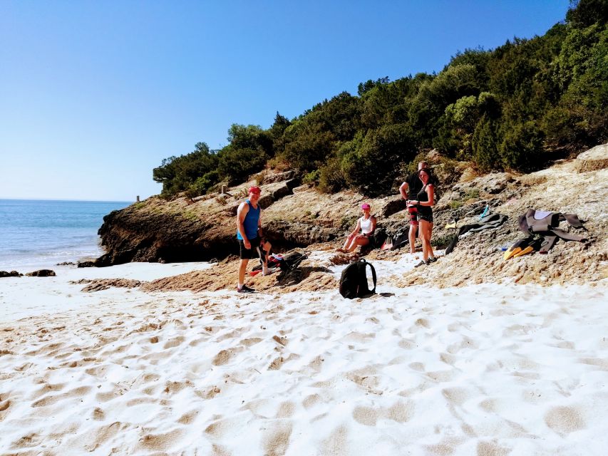 Lisbon: Arrábida Snorkeling Adventure - Seeing the fossil cliffs and coastal scenery