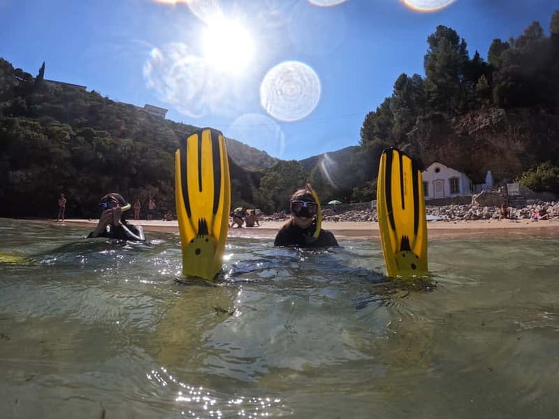 Lisbon: Snorkeling experience in Marine Reserve with photos - Key points to know before booking