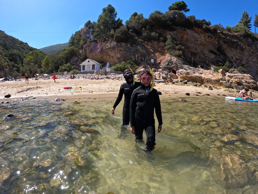 Lisbon: Snorkeling experience in Marine Reserve with photos - Seeing wildlife in a protected marine area