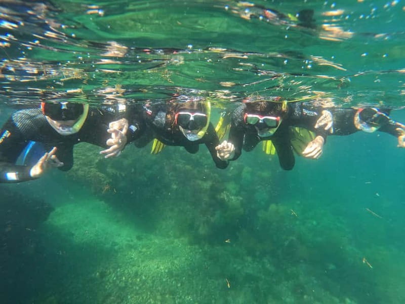 Lisbon: Snorkeling experience in Marine Reserve with photos - Is $53 a fair price?