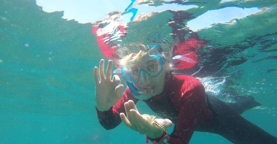 Lisbon: Snorkelling in Sesimbra/Arrábida Natural Park - At a glance: what makes this trip worthwhile