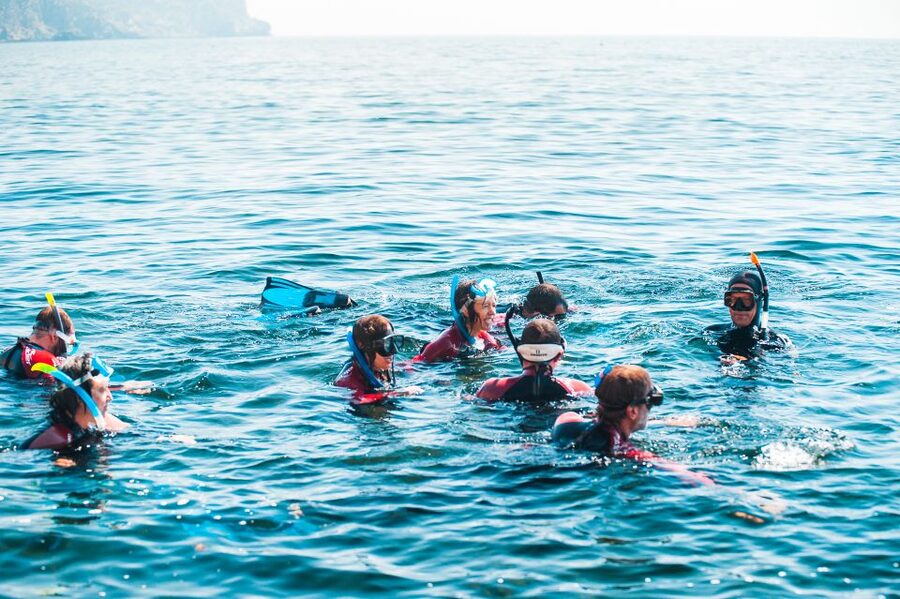 Lisbon: Snorkelling in Sesimbra/Arrábida Natural Park - Should you book the Sesimbra snorkelling trip?