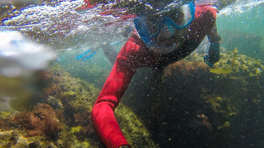 Lisbon: Snorkelling in Sesimbra/Arrábida Natural Park - The guides make the difference