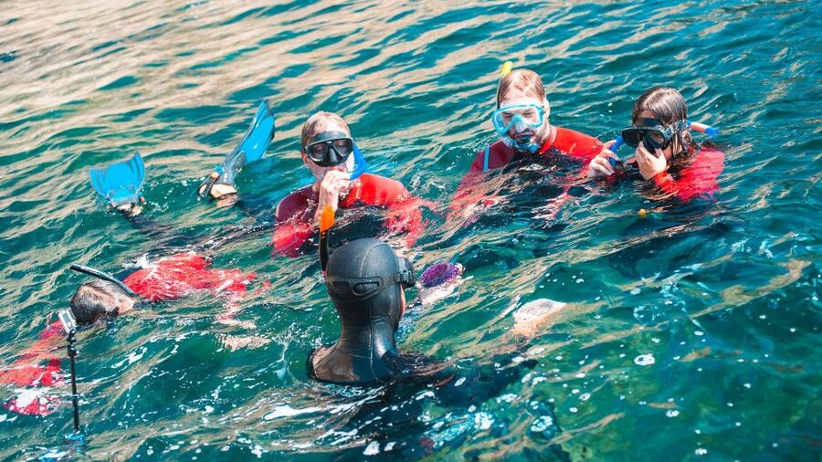 Lisbon: Snorkelling in Sesimbra/Arrábida Natural Park - Is $70 a fair price?