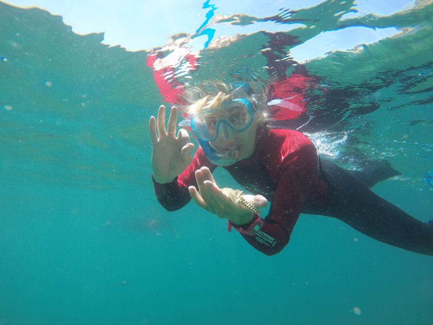 Lisbon: Snorkelling in Sesimbra/Arrábida Natural Park - The three-hour route from shore to sea