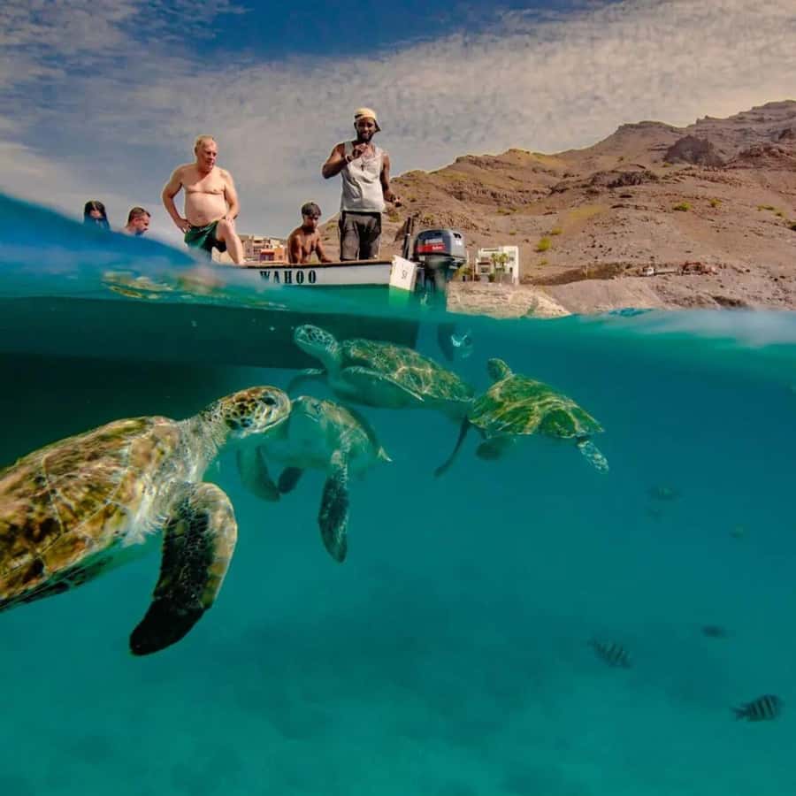 Live Snorkeling & Swimming with Sea Turtles in the Atlantic - Boarding the fishing boat at São Pedro