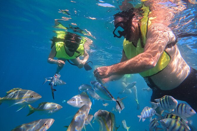 Local Excursion | Paradise Island Punto Rucia & snorkeling - Who will enjoy this day most?