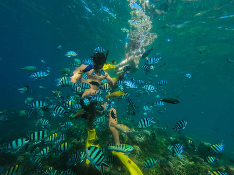 Lombok: Gili Nanggu, Sudak, & Gili Kedis Private Snorkeling - Key points at a glance