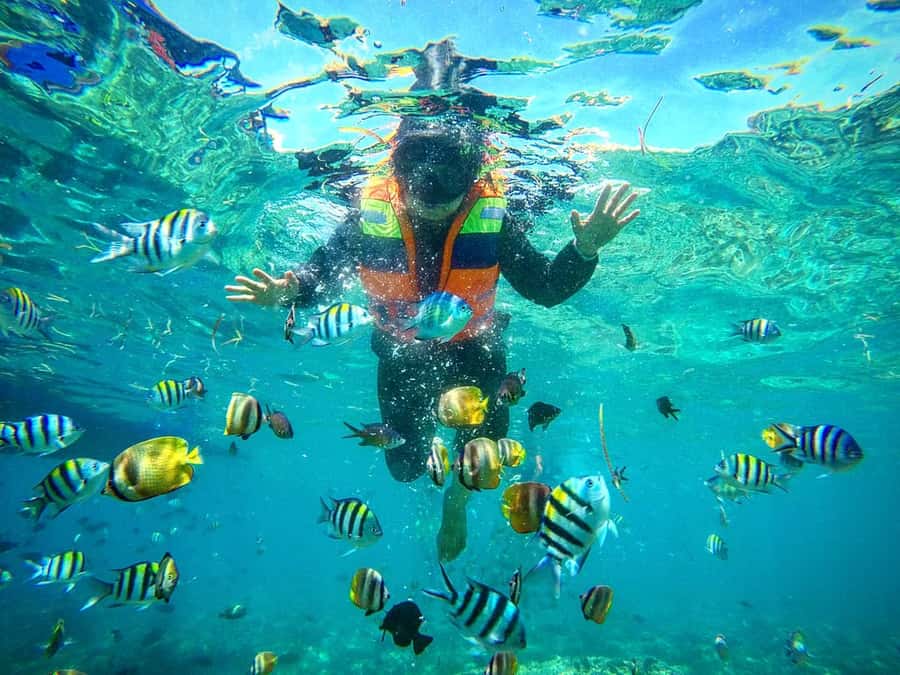 Lombok: Gili Nanggu, Sudak, & Gili Kedis Private Snorkeling - Why the southern Gilis make a better quiet escape